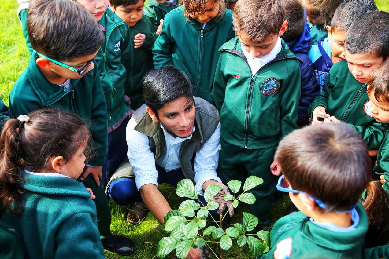 El Día Mundial De La Educación Ambiental Cumple 50 Años - El Diario De ...